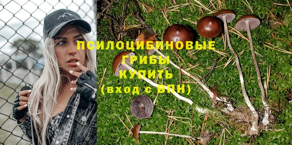 молекула духа Киренск