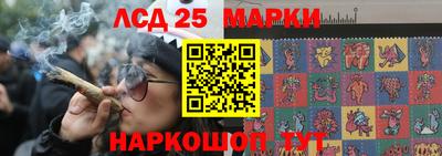 крисы Жуковский