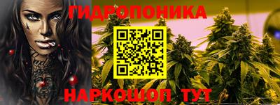 крисы Жуковский