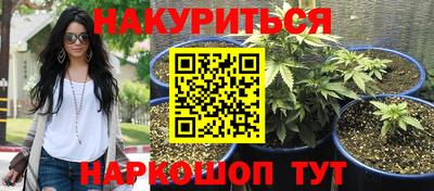 крисы Жуковский