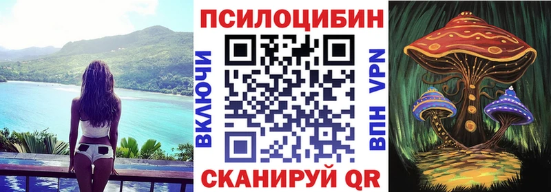 как найти наркотики  Ковров  Псилоцибиновые грибы Cubensis 