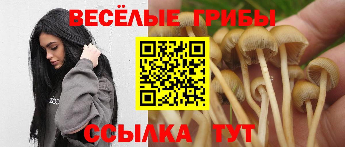 Псилоцибиновые грибы мицелий  Галлюциногенные грибы MAGIC MUSHROOMS  Ковров  Вход с VPN 