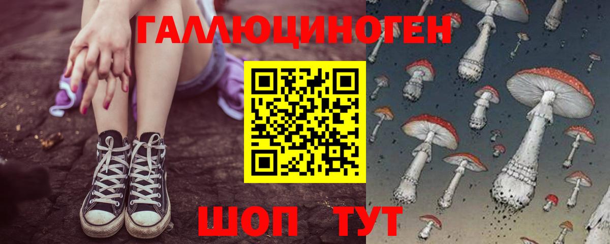 где купить наркоту  Ковров  Галлюциногенные грибы MAGIC MUSHROOMS 