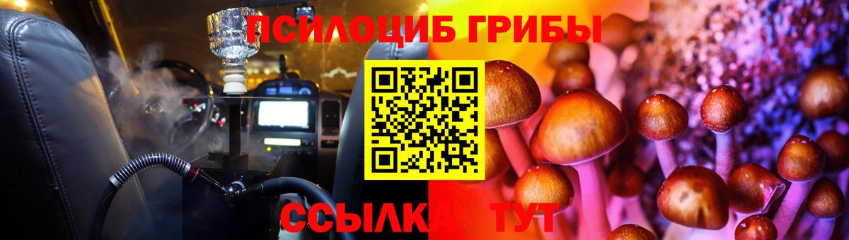 Псилоцибиновые грибы GOLDEN TEACHER Ковров